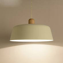 Load image into Gallery viewer, The Nord Single Pendant Light