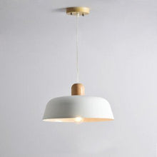 Load image into Gallery viewer, The Nord Single Pendant Light