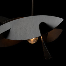 Load image into Gallery viewer, The Koi 2-Light Pendant